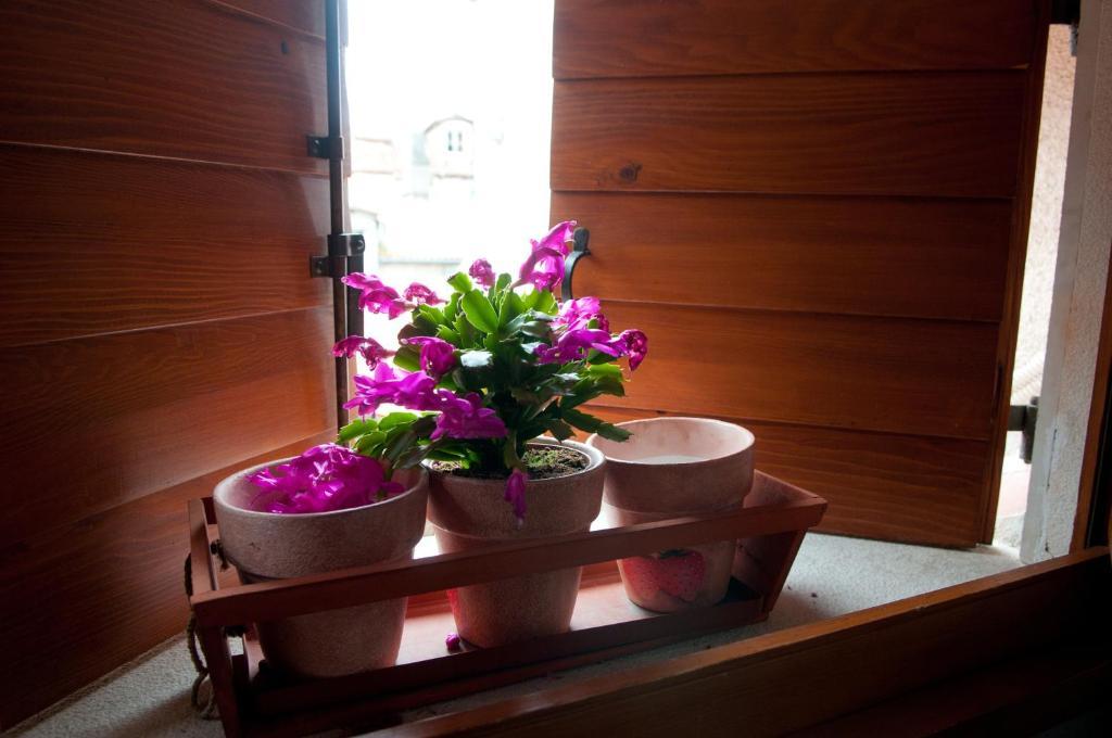 Appartement Salvezani *
